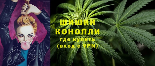 крисы Абаза