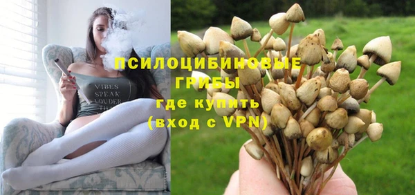 дмт Алзамай
